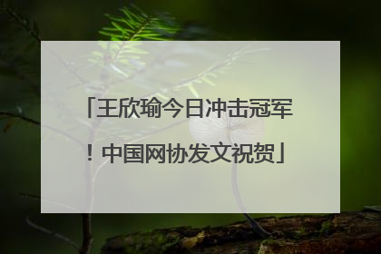 王欣瑜今日冲击冠军！中国网协发文祝贺