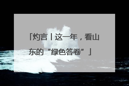 灼言丨这一年，看山东的“绿色答卷”