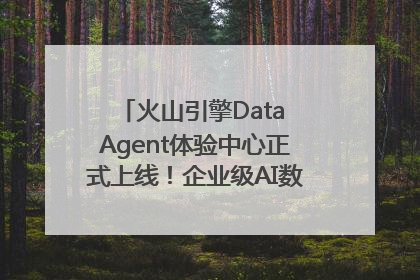火山引擎Data Agent体验中心正式上线！企业级AI数据专家触手可及