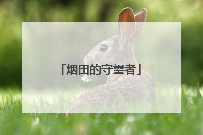 烟田的守望者
