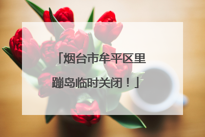 烟台市牟平区里蹦岛临时关闭！