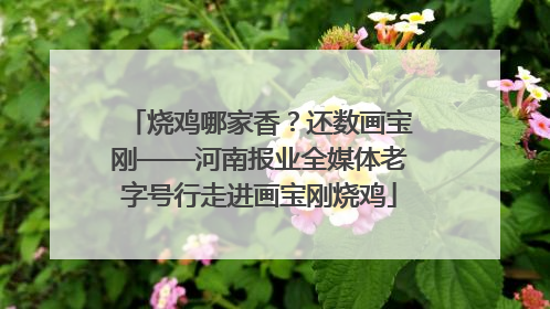 烧鸡哪家香？还数画宝刚——河南报业全媒体老字号行走进画宝刚烧鸡