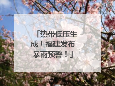 热带低压生成！福建发布暴雨预警！