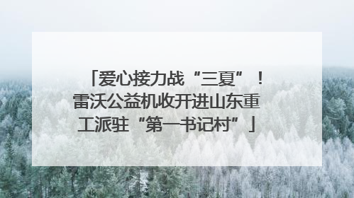 爱心接力战“三夏”！雷沃公益机收开进山东重工派驻“第一书记村”