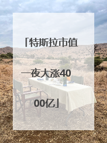 特斯拉市值一夜大涨4000亿