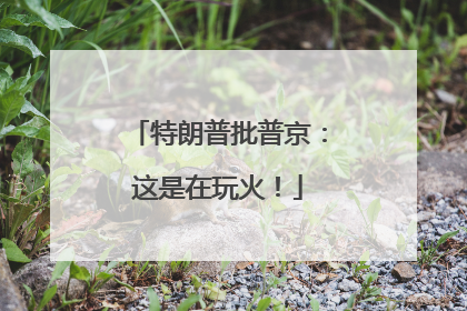 特朗普批普京：这是在玩火！