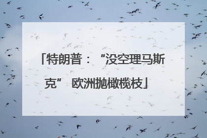 特朗普：“没空理马斯克” 欧洲抛橄榄枝