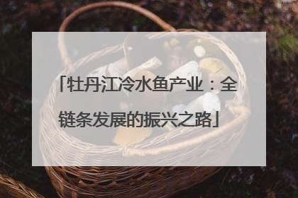 牡丹江冷水鱼产业：全链条发展的振兴之路
