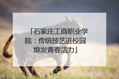 石家庄工商职业学院：传统技艺进校园焕发青春活力
