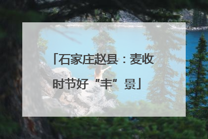 石家庄赵县：麦收时节好“丰”景