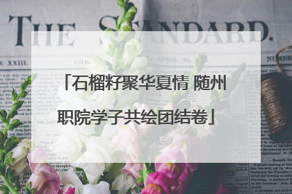 石榴籽聚华夏情 随州职院学子共绘团结卷