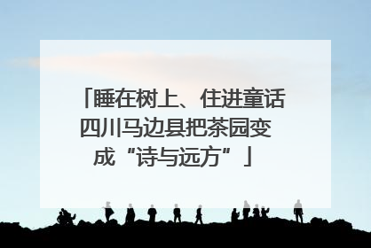 睡在树上、住进童话 四川马边县把茶园变成“诗与远方”