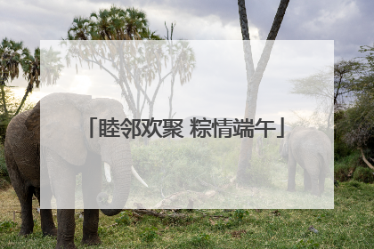 睦邻欢聚 粽情端午