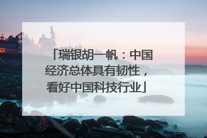 瑞银胡一帆：中国经济总体具有韧性，看好中国科技行业
