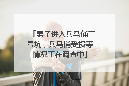 男子进入兵马俑三号坑，兵马俑受损等情况正在调查中