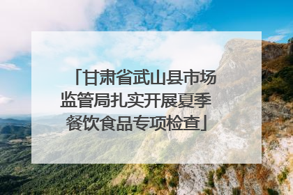 甘肃省武山县市场监管局扎实开展夏季餐饮食品专项检查