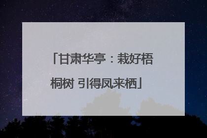 甘肃华亭：栽好梧桐树 引得凤来栖