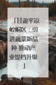 甘肃平凉崆峒区：引进蔬菜新品种 推动产业提档升级