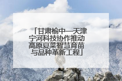 甘肃榆中—天津宁河科技协作推动高原夏菜智慧育苗与品种革新工程