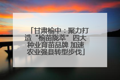 甘肃榆中：聚力打造“榆苗陇萃”四大种业育苗品牌 加速农业强县转型步伐