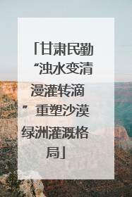 甘肃民勤“浊水变清 漫灌转滴”重塑沙漠绿洲灌溉格局