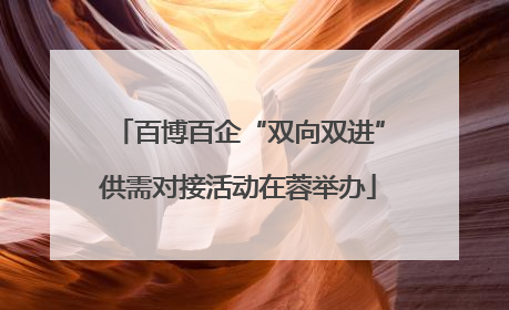 百博百企“双向双进”供需对接活动在蓉举办