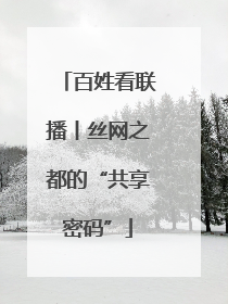 百姓看联播丨丝网之都的“共享密码”