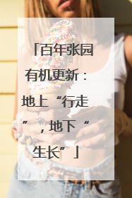 百年张园有机更新：地上“行走”，地下“生长”