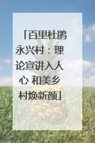 百里杜鹃永兴村：理论宣讲入人心 和美乡村焕新颜