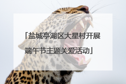 盐城亭湖区大星村开展端午节主题关爱活动