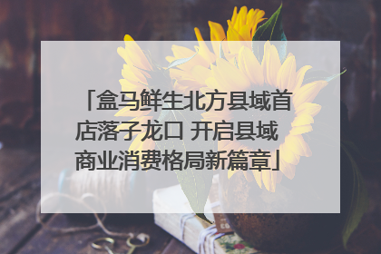 盒马鲜生北方县域首店落子龙口 开启县域商业消费格局新篇章