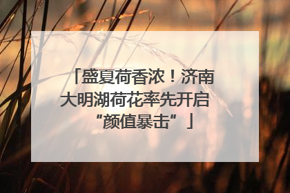 盛夏荷香浓！济南大明湖荷花率先开启“颜值暴击”