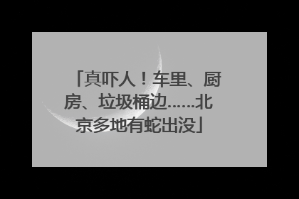 真吓人！车里、厨房、垃圾桶边……北京多地有蛇出没
