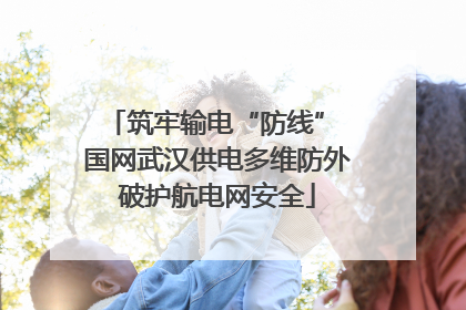 筑牢输电“防线” 国网武汉供电多维防外破护航电网安全