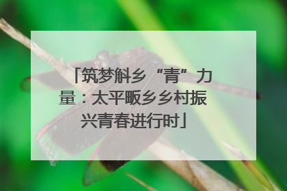 筑梦斛乡“青”力量：太平畈乡乡村振兴青春进行时