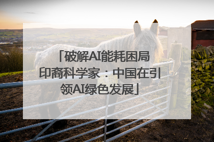 破解AI能耗困局 印裔科学家：中国在引领AI绿色发展