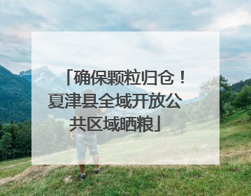 确保颗粒归仓！夏津县全域开放公共区域晒粮
