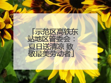 示范区高铁东站地区管委会：夏日送清凉 致敬最美劳动者