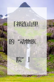 祁连山里的“动物医院”