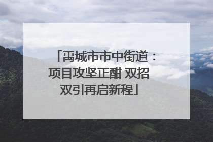 禹城市市中街道：项目攻坚正酣 双招双引再启新程