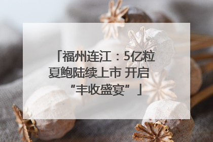 福州连江：5亿粒夏鲍陆续上市 开启“丰收盛宴”