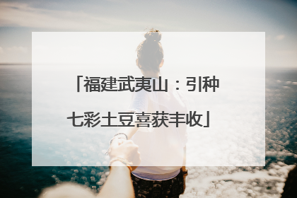 福建武夷山：引种七彩土豆喜获丰收