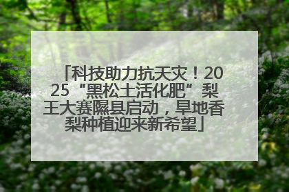 科技助力抗天灾！2025“黑松土活化肥”梨王大赛隰县启动，旱地香梨种植迎来新希望