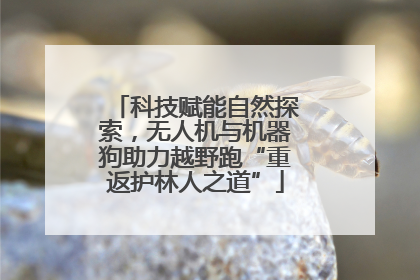 科技赋能自然探索，无人机与机器狗助力越野跑“重返护林人之道”