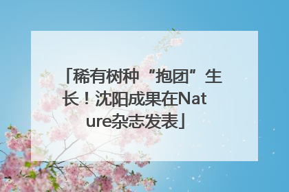 稀有树种“抱团”生长！沈阳成果在Nature杂志发表