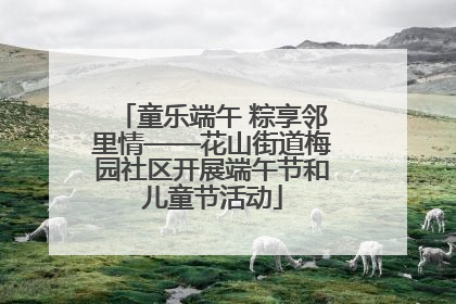 童乐端午 粽享邻里情——花山街道梅园社区开展端午节和儿童节活动