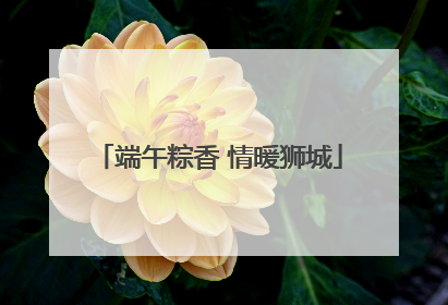 端午粽香 情暖狮城