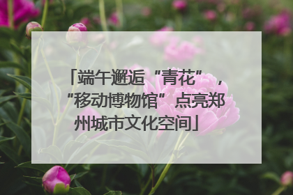端午邂逅“青花”，“移动博物馆”点亮郑州城市文化空间