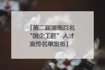 第二届湖南百名“国企工匠”人才宣传名单发布