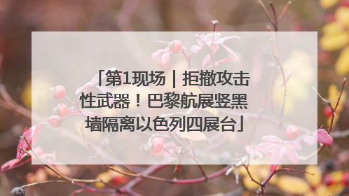 第1现场｜拒撤攻击性武器！巴黎航展竖黑墙隔离以色列四展台
